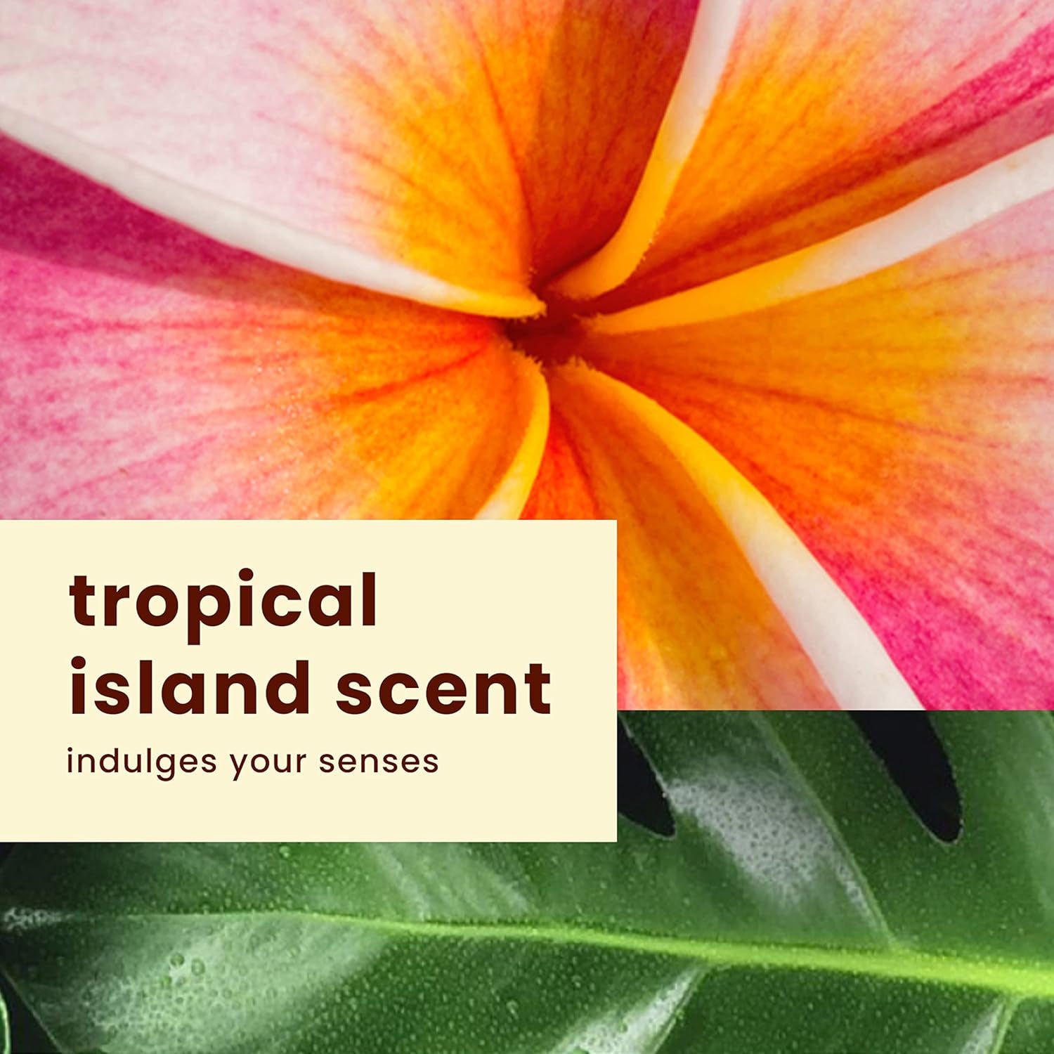 Island Sport Sunscreen Spray, Easy to Apply, Broad-Spectrum Protection, SPF 15, 6 Ounces. (Packaging May Vary)